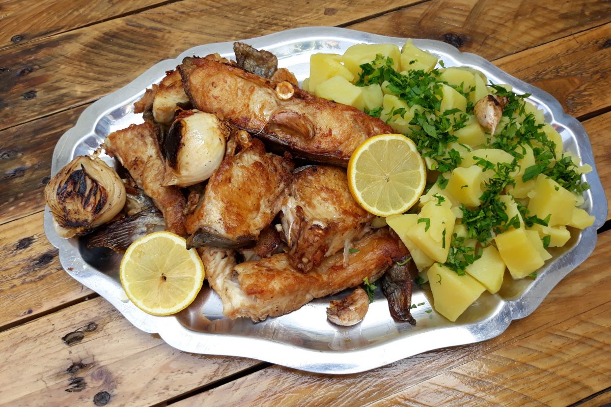 platou pescaresc Kayak Escape