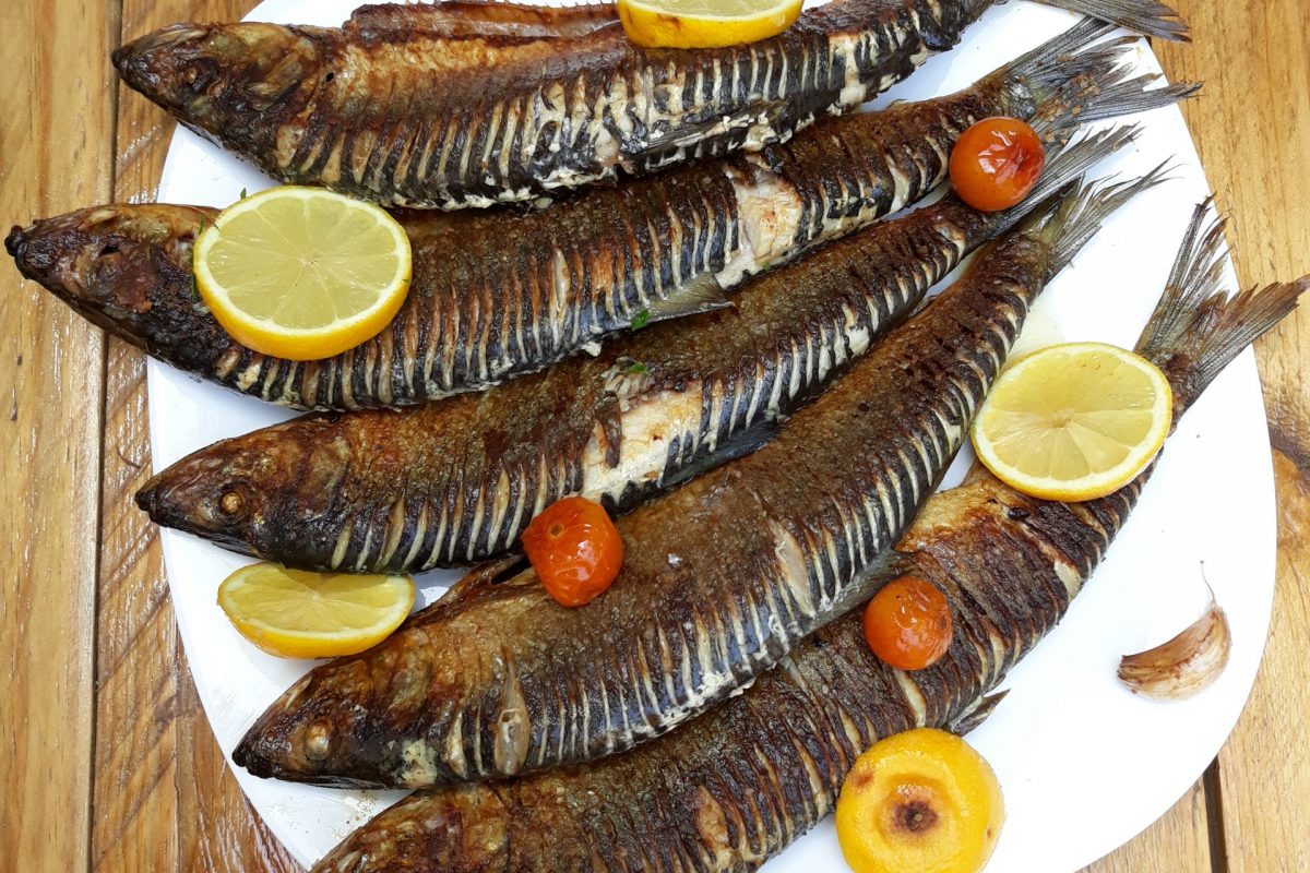 scrumbie la Kayak Escape