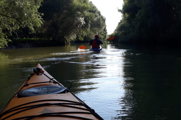 Danube Delta Kayaking