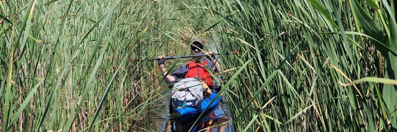 traseu de caiac în Delta Dunării pe canal natural