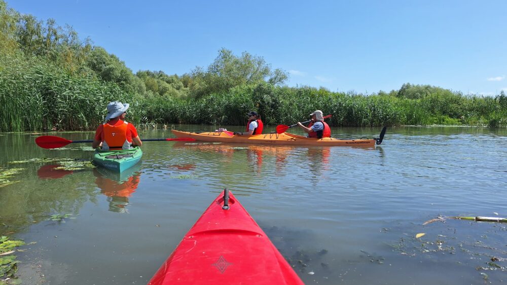 Rute atent alese pentru explorarea Deltei în ritmul tău. Trasee pentru începători și paddleri cu experiență.