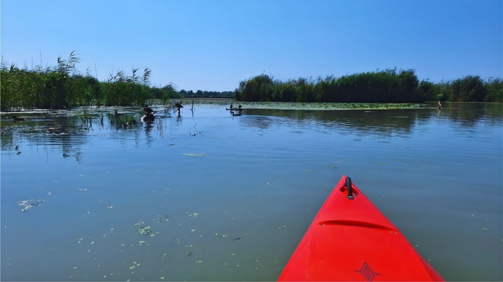 ghid complet delta dunarii